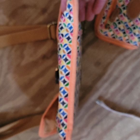 Fossil set - Picture 12 of 12